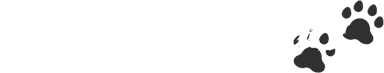 Letícia Lima Logo